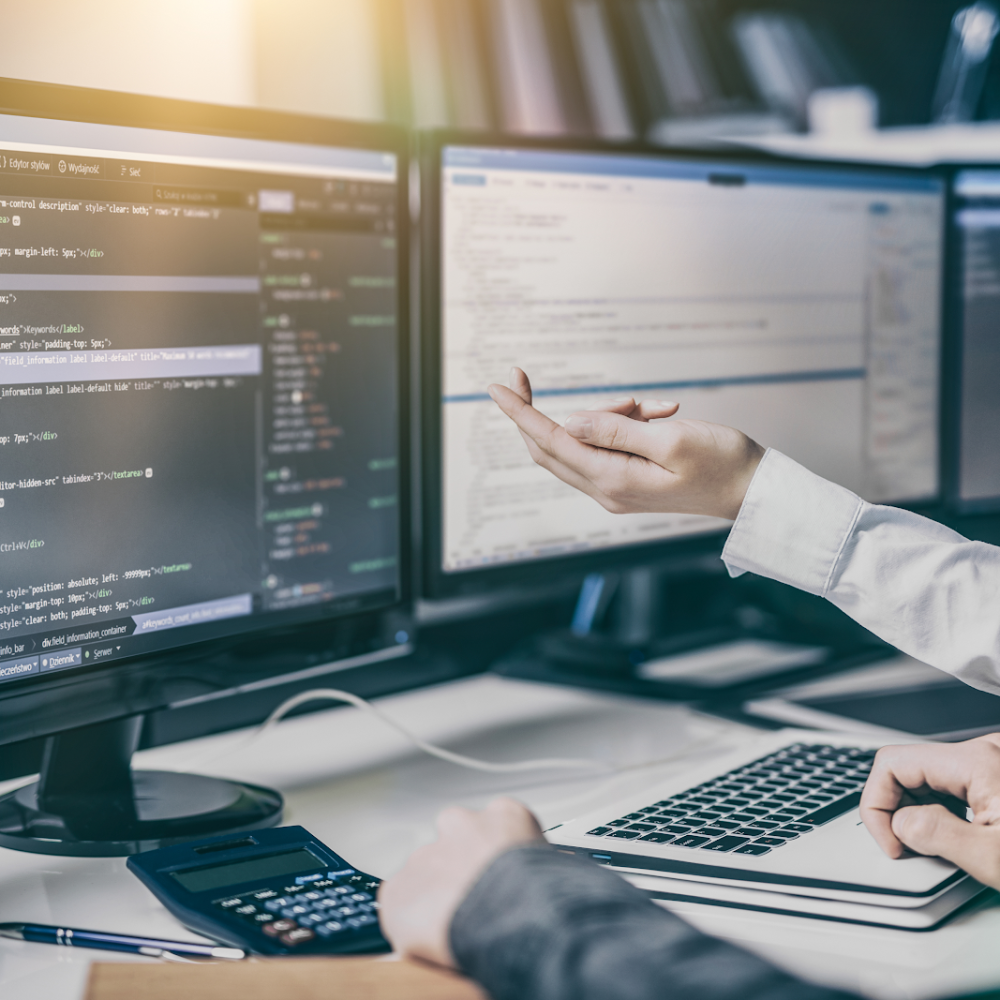 software dev